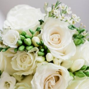 Meet your Posher, Christie